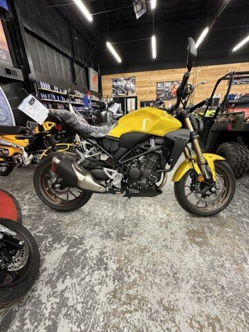 New 2024 Honda CB300R ABS