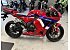 2024 Honda CBR600RR