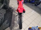 Thumbnail Photo 5 for 2024 Honda CRF125F Big Wheel