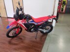 Thumbnail Photo 1 for New 2024 Honda CRF300L Rally