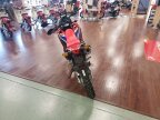 Thumbnail Photo 4 for New 2024 Honda CRF300L Rally