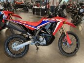 New 2024 Honda CRF300L Rally