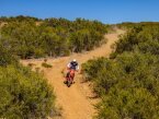 Thumbnail Photo 4 for New 2024 Honda CRF450X