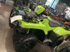 Thumbnail Photo 1 for New 2024 Honda FourTrax Foreman 4x4 EPS