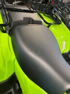 Thumbnail Photo 5 for New 2024 Honda FourTrax Foreman 4x4 EPS