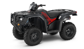 New 2024 Honda FourTrax Foreman Rubicon 4x4 EPS