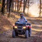 Thumbnail Photo 3 for New 2024 Honda FourTrax Rancher 4x4 Automatic DCT IRS EPS