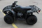 Thumbnail Photo 2 for New 2024 Honda FourTrax Recon