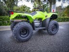 Thumbnail Photo 4 for New 2024 Honda FourTrax Recon ES
