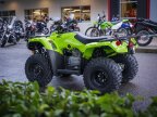 Thumbnail Photo 6 for New 2024 Honda FourTrax Recon ES