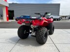 Thumbnail Photo 2 for New 2024 Honda FourTrax Recon