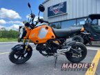 Thumbnail Photo 2 for 2024 Honda Grom