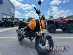 Thumbnail Photo 6 for 2024 Honda Grom