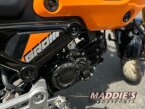 Thumbnail Photo 1 for 2024 Honda Grom