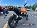 Thumbnail Photo 4 for 2024 Honda Grom