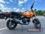 Thumbnail Photo 5 for 2024 Honda Grom
