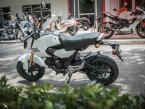 Thumbnail Photo 6 for New 2024 Honda Grom
