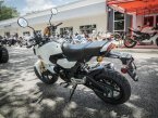 Thumbnail Photo 5 for New 2024 Honda Grom
