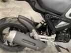 Thumbnail Photo 6 for New 2024 Honda Grom