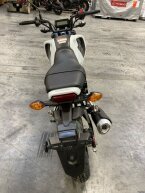Thumbnail Photo 3 for New 2024 Honda Grom