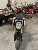 Thumbnail Photo 2 for New 2024 Honda Grom