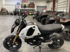 Thumbnail Photo 1 for New 2024 Honda Grom