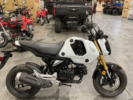 Photo 1 for New 2024 Honda Grom