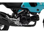 Thumbnail Photo 1 for 2024 Honda Grom ABS