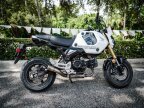 Thumbnail Photo 4 for 2024 Honda Grom