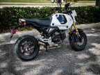 Thumbnail Photo 2 for 2024 Honda Grom