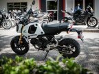 Thumbnail Photo 6 for 2024 Honda Grom