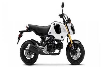 Photo 1 for 2024 Honda Grom ABS