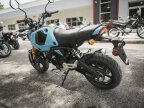 Thumbnail Photo 6 for New 2024 Honda Grom