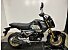2024 Honda Grom