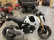 New 2024 Honda Grom