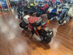 Thumbnail Photo 3 for New 2024 Honda Monkey ABS