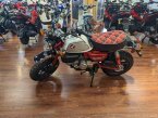 Thumbnail Photo 1 for New 2024 Honda Monkey ABS