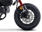 Thumbnail Photo 2 for 2024 Honda Monkey ABS