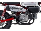 Thumbnail Photo 1 for 2024 Honda Monkey ABS