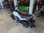 Thumbnail Photo 2 for New 2024 Honda Navi
