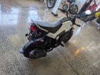 Thumbnail Photo 4 for New 2024 Honda Navi