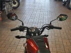 Thumbnail Photo 6 for New 2024 Honda Navi
