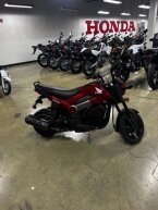 Thumbnail Photo 1 for 2024 Honda Navi