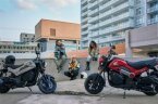 Thumbnail Photo 3 for New 2024 Honda Navi