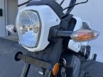 Thumbnail Photo 6 for 2024 Honda Navi