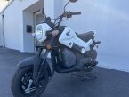 Thumbnail Photo 4 for 2024 Honda Navi
