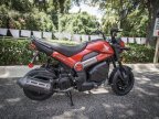 Thumbnail Photo 4 for New 2024 Honda Navi