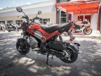 Thumbnail Photo 5 for New 2024 Honda Navi