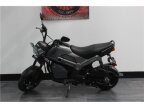 Thumbnail Photo 2 for 2024 Honda Navi