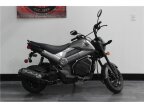 Thumbnail Photo 1 for 2024 Honda Navi